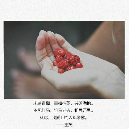 最喜欢早上 好像什么都可以重新开始