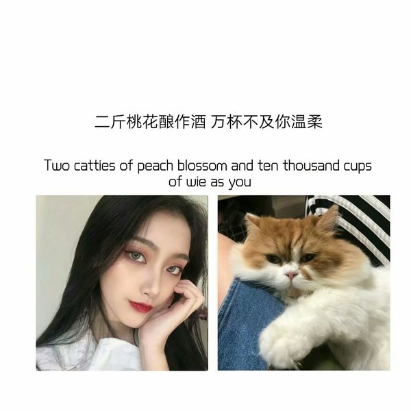 希望你能忘记他们 只记得我 我也会一直陪着你111