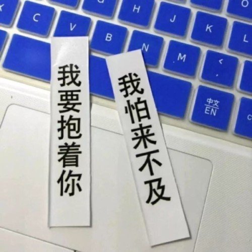 总是不长记性过分期待111